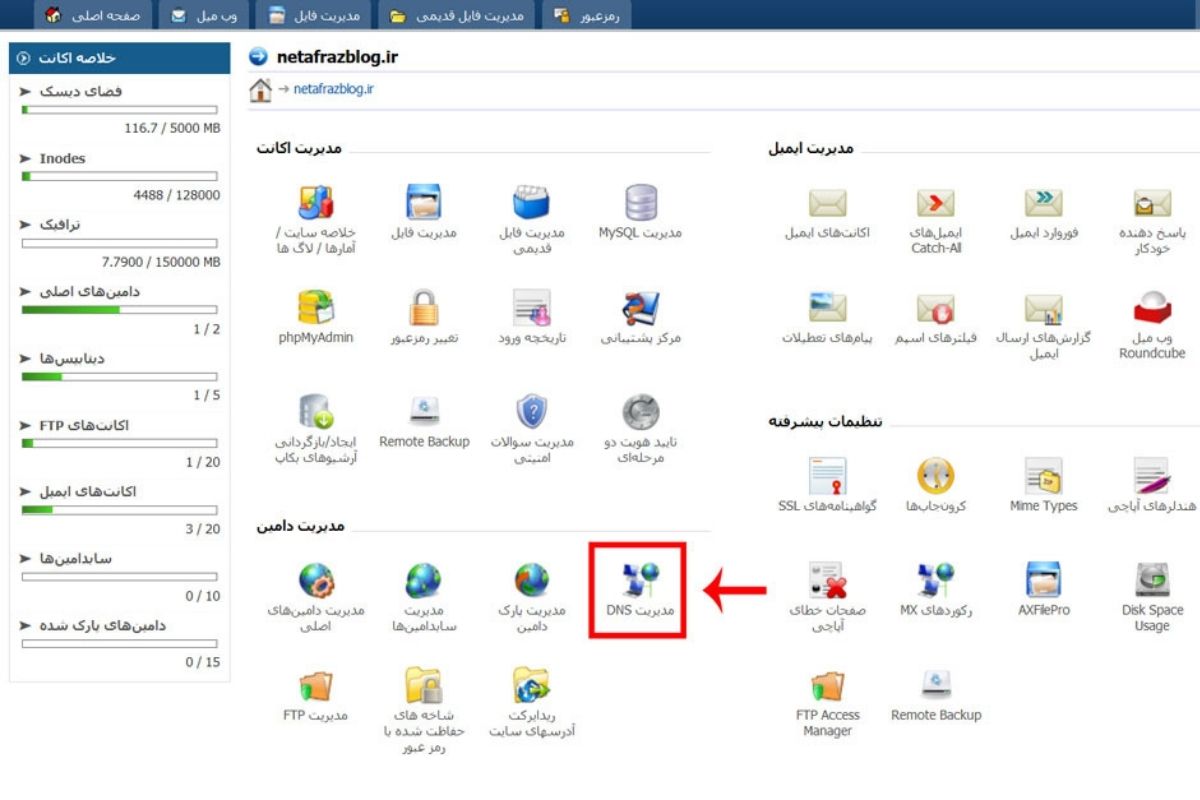 تنظیمات DNS در دایرکت ادمین
